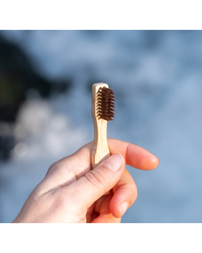 Brosse à dents de voyage