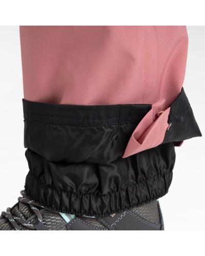 Pantalon de Ski Imperméable Femme Dare 2B "DIMINISH PANT"