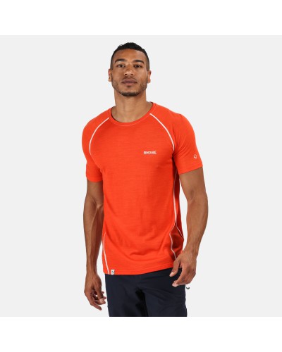 Tee Shirt Merinos Regatta "Tornell II"