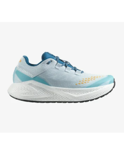 Salomon "AERO GLIDE 3 GRVL" Homme