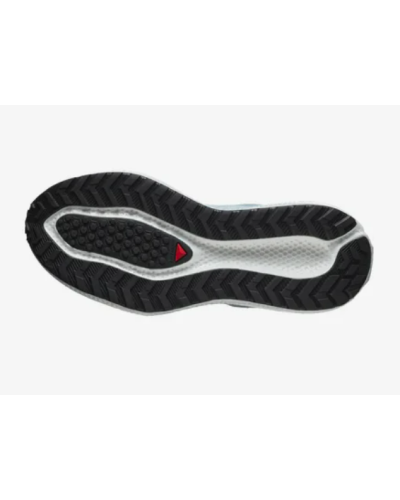 Chaussure de Running / Trail Homme Salomon "AERO GLIDE 3 GRVL"