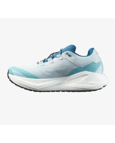 Chaussure de Running / Trail Homme Salomon "AERO GLIDE 3 GRVL"