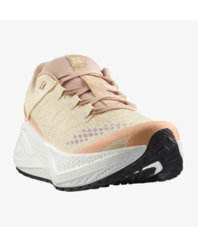 Chaussure de Trail / Running Femme Salomon "AERO GLIDE 3 GRVL W"