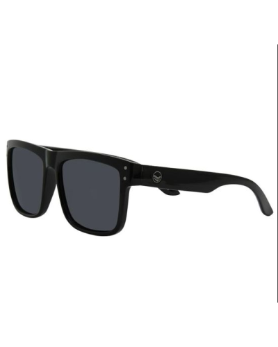 Lunettes de Soleil Polarisées I-SEA "V LANDER"