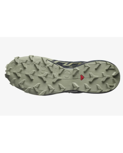 Salomon "Speedcross 6 Gore-Tex" Homme