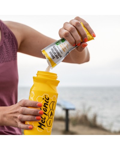 Boisson Energétique Bio Meltonic "Citron"