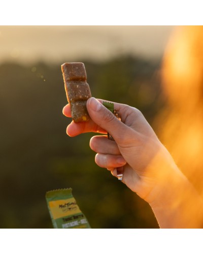 Barre Meltonic : "TONIC BARRE BIO PISTACHES FLEUR DE SEL"