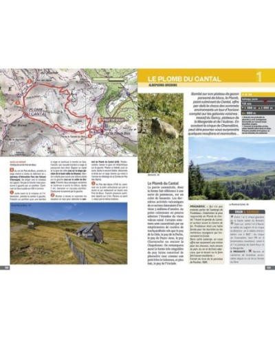 Guide Randonnée : Volcan Cantalien 49 Balades